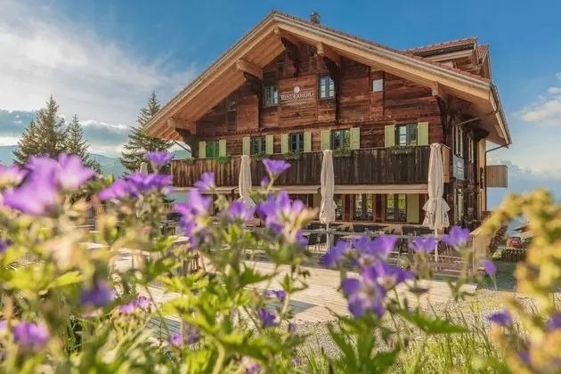 Hamilton Lodge Zweisimmen
