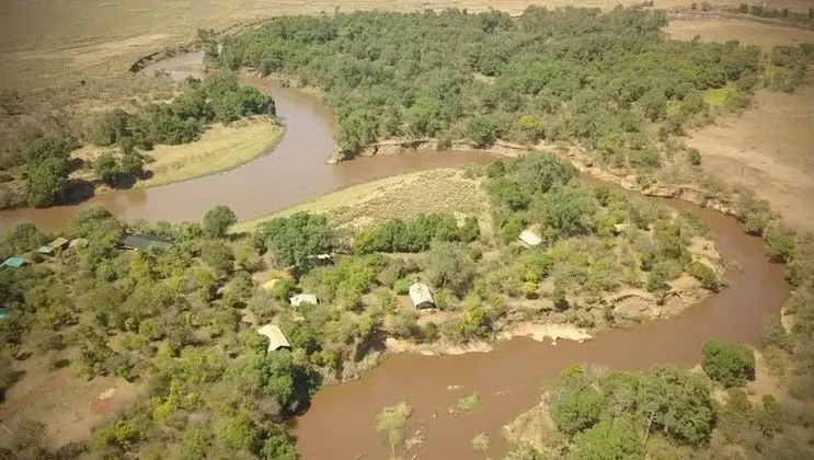 Hammerkop Migration Camp