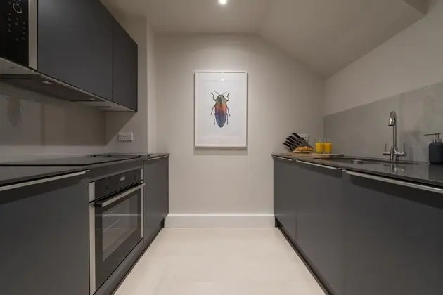Hampden Apartments - the Diana - Mutfak