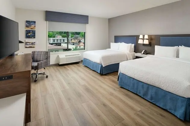 Hampton Inn Blue Ridge - Oda