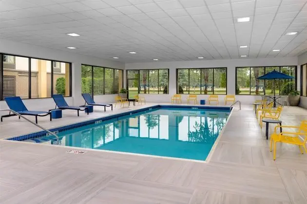 Hampton Inn Buffalo-Airport Galleria - Havuz