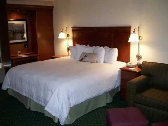 Hampton Inn Charleston-Downtown 