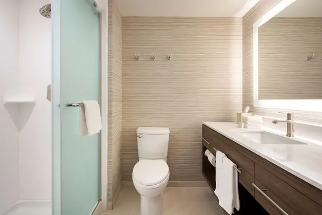 Hampton Inn Clovis,NM - Banyo Özellikleri