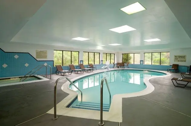 Hampton Inn Danville, PA - Havuz