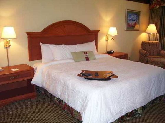 Hampton Inn Daytona Shores-Oceanfront 