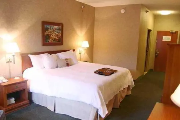 Hampton Inn Detroit/Belleville-Airport Area - Genel