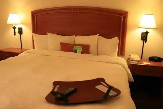Hampton Inn By Hilton Saltillo - Oda