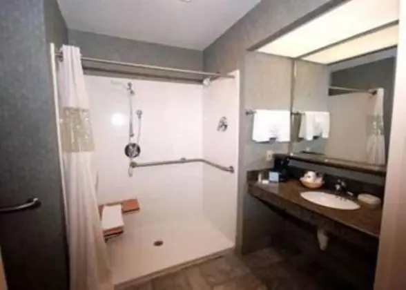 Hampton Inn Laplace - Banyo Tipleri