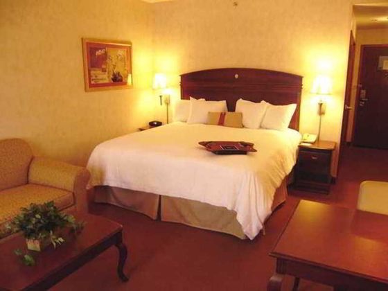 Hampton Inn Owego