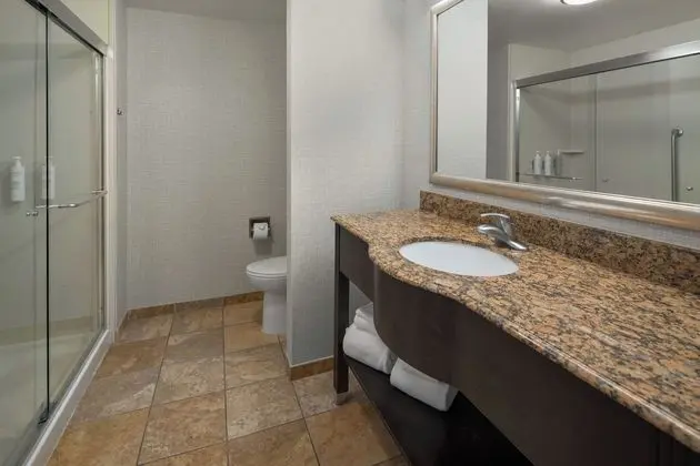 Hampton Inn Rochester-Irondequoit - Banyo Özellikleri