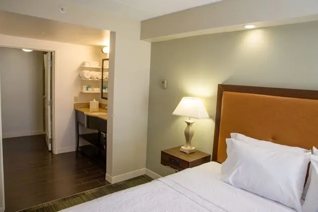 Hampton Inn & Suites Albany-Downtown - Oda