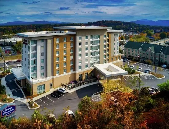 HAMPTON INN SUITES ASHEVILLE BILTMORE AREA NC