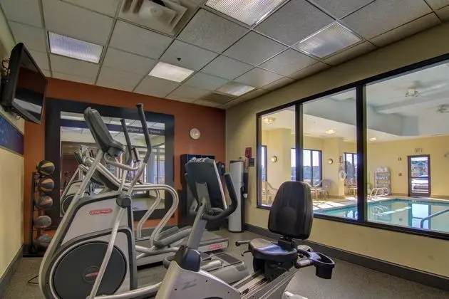 Hampton Inn & Suites Atlanta-Galleria - Havuz