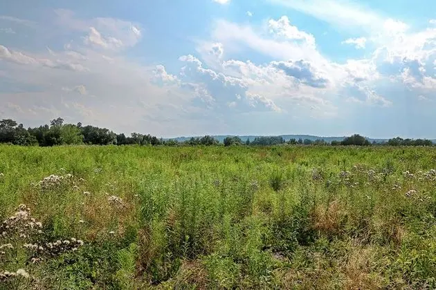 Hampton Inn & Suites Cazenovia, NY