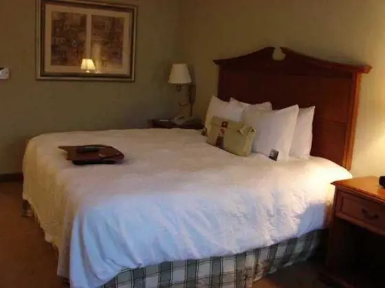 Hampton Inn & Suites College Station/US 6-East - Genel