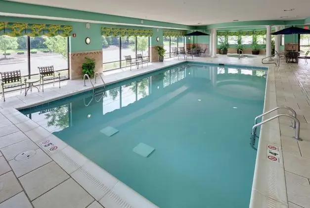 Hampton Inn & Suites Columbus Polaris - Havuz