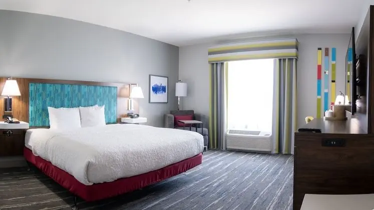 Hampton Inn & Suites Dallas/Lewisville-Vista Ridge Mall, TX - Oda