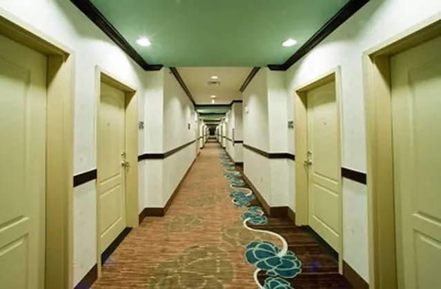 Hampton Inn & Suites Denison - Lobi