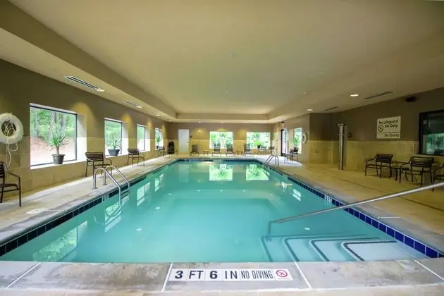 Hampton Inn & Suites Flowery Branch Lake Lanier - Havuz