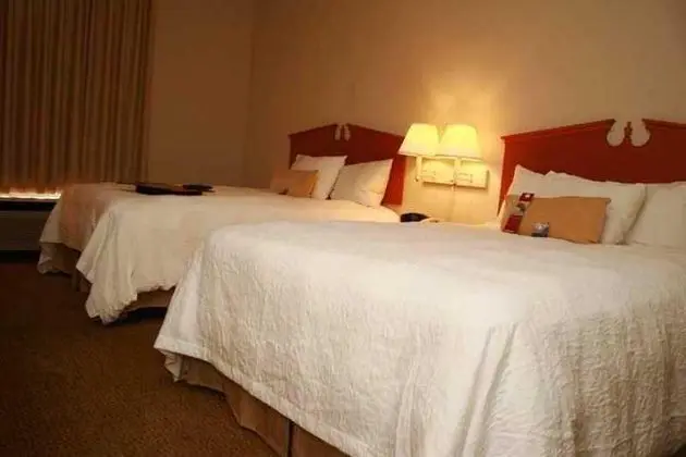 Hampton Inn & Suites Ft. Worth Alliance Airport - Genel