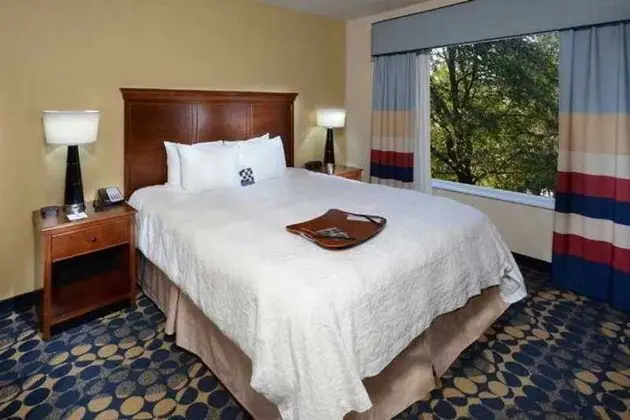 Hampton Inn & Suites Huntersville - Genel