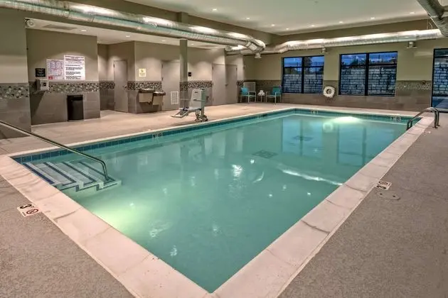 Hampton Inn & Suites Nashville/Goodlettsville, TN - Havuz