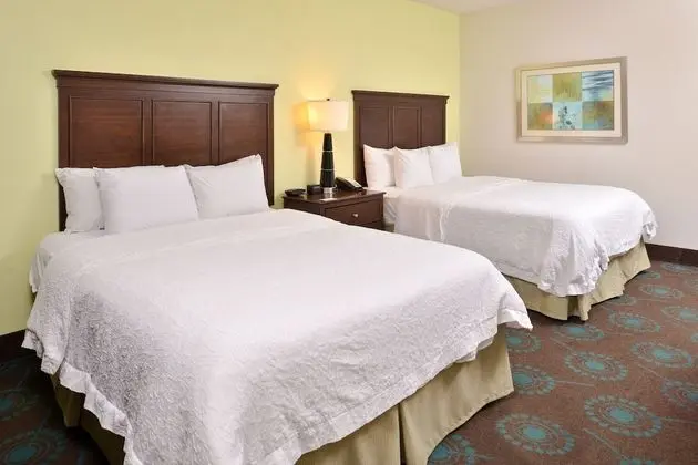 Hampton Inn & Suites Newport News (Oyster Point) - Oda