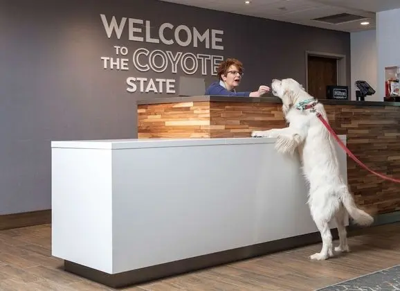Hampton Inn & Suites Rapid City Rushmore - Lobi
