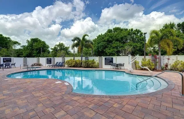 Hampton Inn and Suites Tampa Northwest/Oldsmar - Havuz