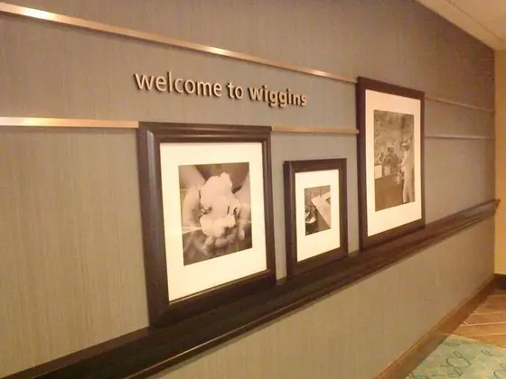 Hampton Inn & Suites Wiggins, MS - Dış Mekan