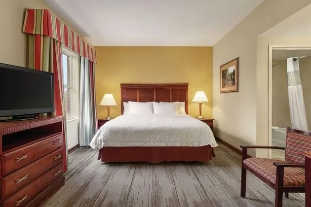 Hampton Inn & Suites Williamsburg Historic District - Oda