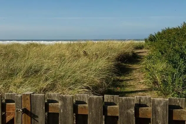 The Hamptons - Dış Mekan
