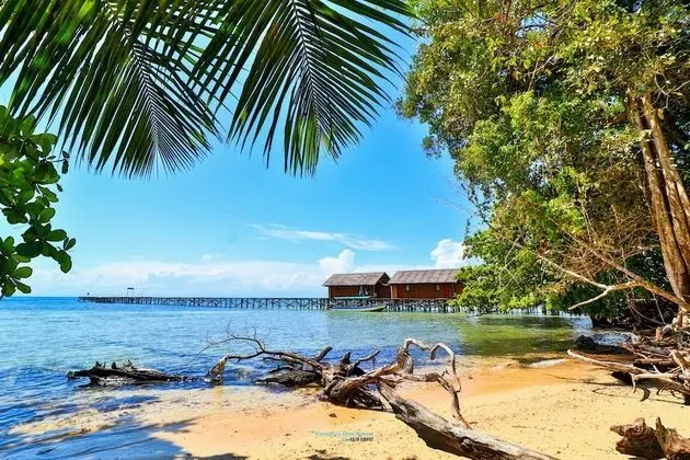 HamuEco Dive Resort Raja Ampat - Plaj