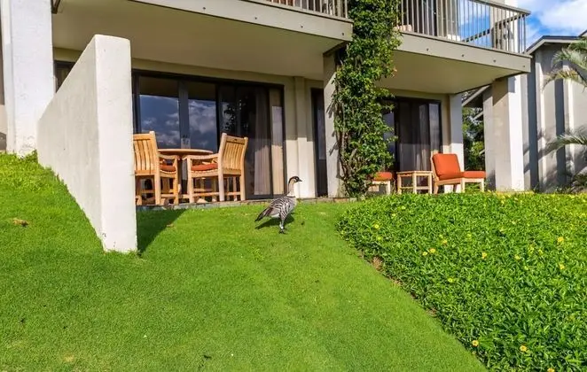 Hanalei Bay Resort 6102 1 Bedroom Condo by Redawning - Dış Mekan
