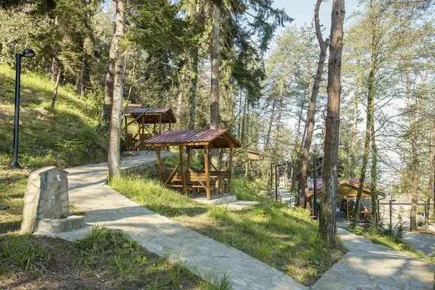Hancıoğlu Orman Evleri ve Hotel - Bahçeler