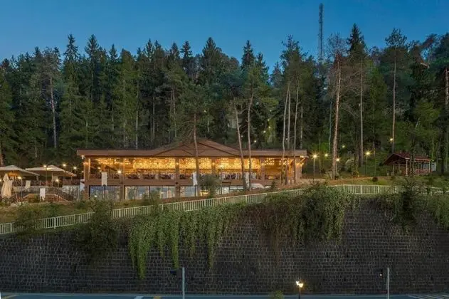 Hancıoğlu Orman Evleri ve Hotel - Restoran
