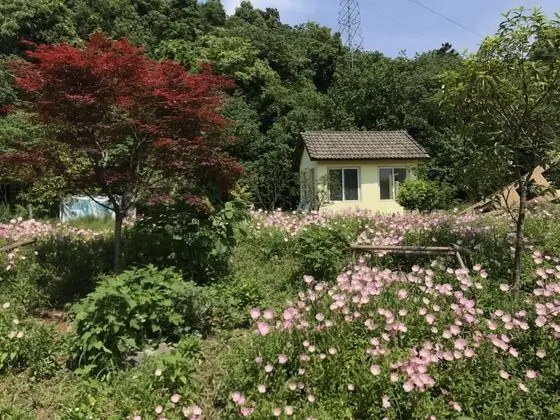 Hangzhou Tongjia country Resort