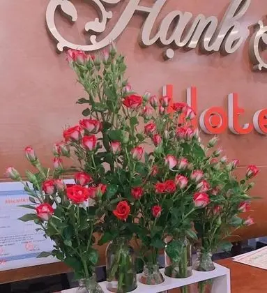 Hanh Hoa Hotel - Dış Mekan