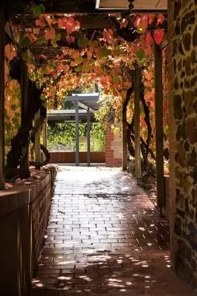 Hanisch Haus - Dış Mekan