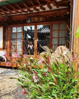 Hanok Moryeon