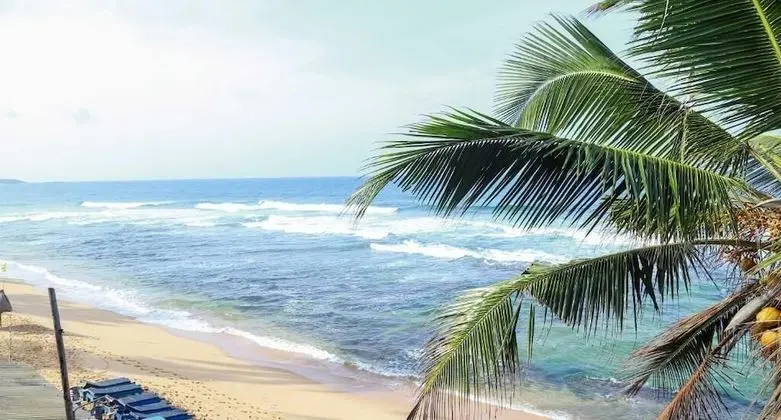 Hansa Surf Hotel