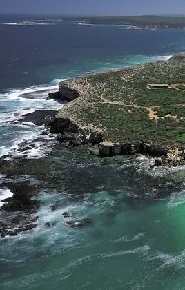 Hanson Bay Wildlife Sanctuary and Cabins - Plaj