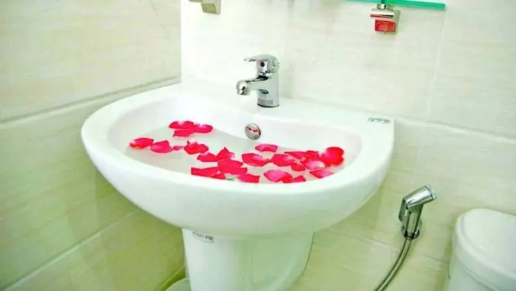 HANZ Ailen Garden Hotel - Banyo Tipleri