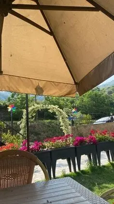 Hanzade Birgi - Genel