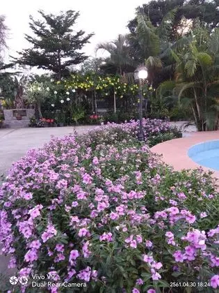 Happy Resort - İç Mekan