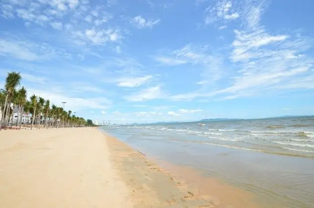 Happy Vikings - Beachfront - Plaj