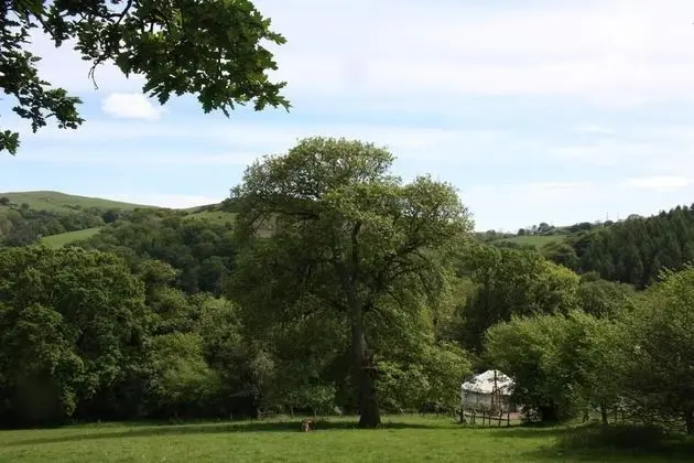 Hapus Yurt, Luxury Yurts & Barn Kitchen - Sleeps 9