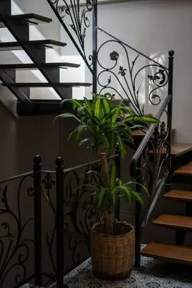 Harakop Pansiyon Cunda - Lobi