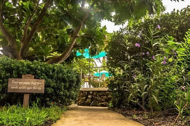 Harbour View Boutique Hotel & Yoga Retreat - Havuz