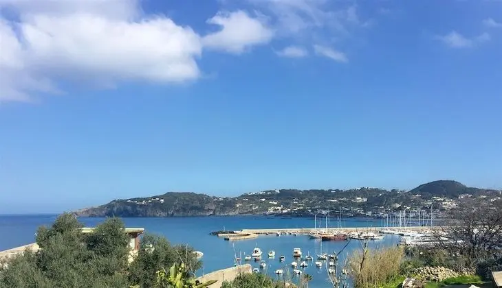 Harbour View